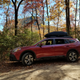 In the woods near Looking Glass Rock in Pisgah National Forest within 24 hours of purchase